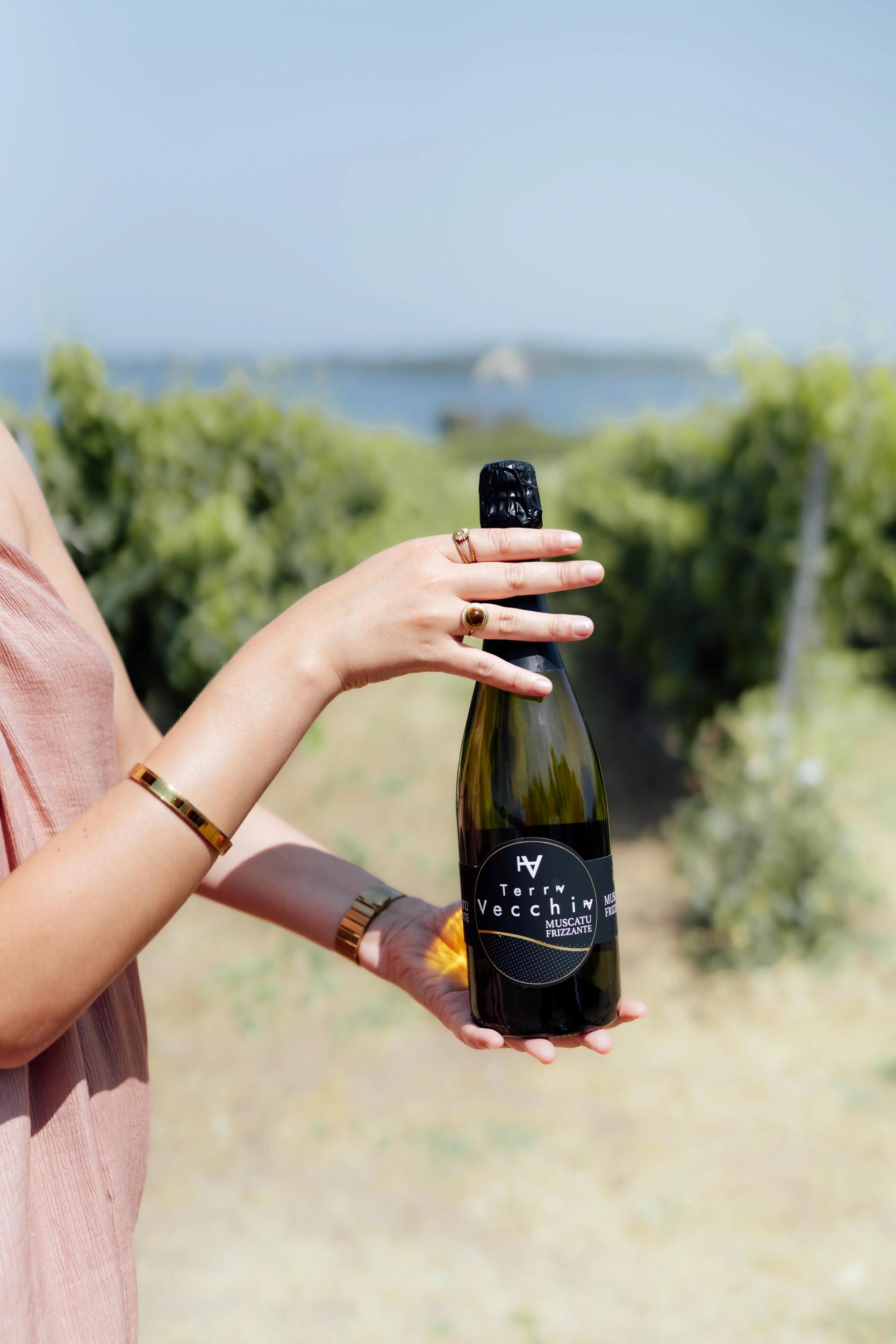 Domaine De Terracnull