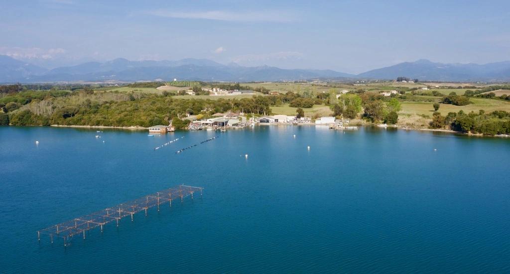 Alt à définir